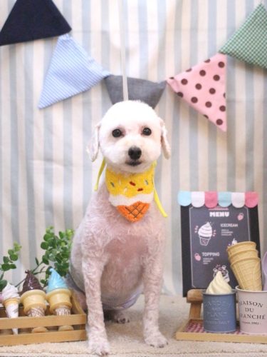 20250505ちくわくん